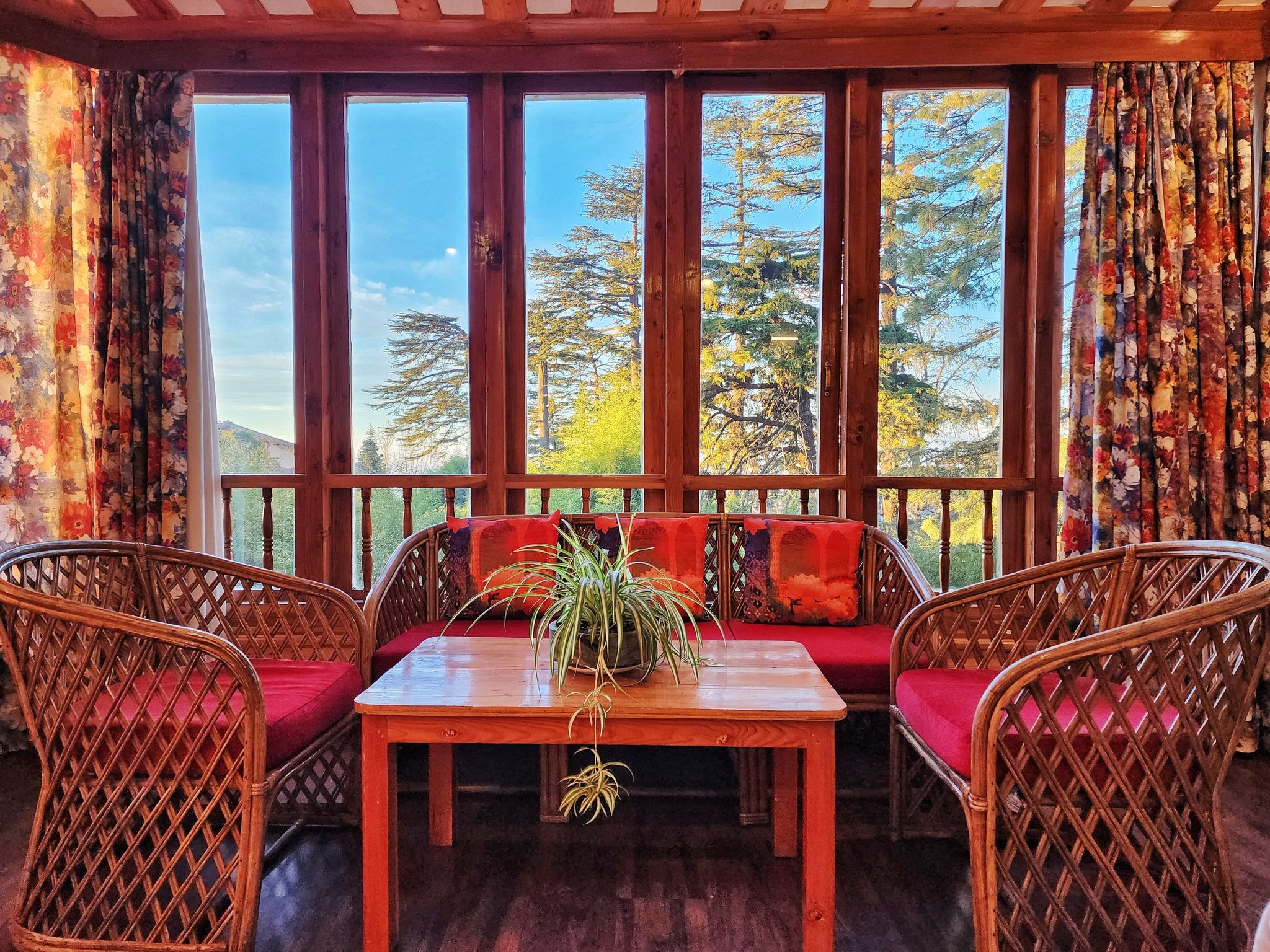 Hotel Pineview Shimla Royal Premium 4