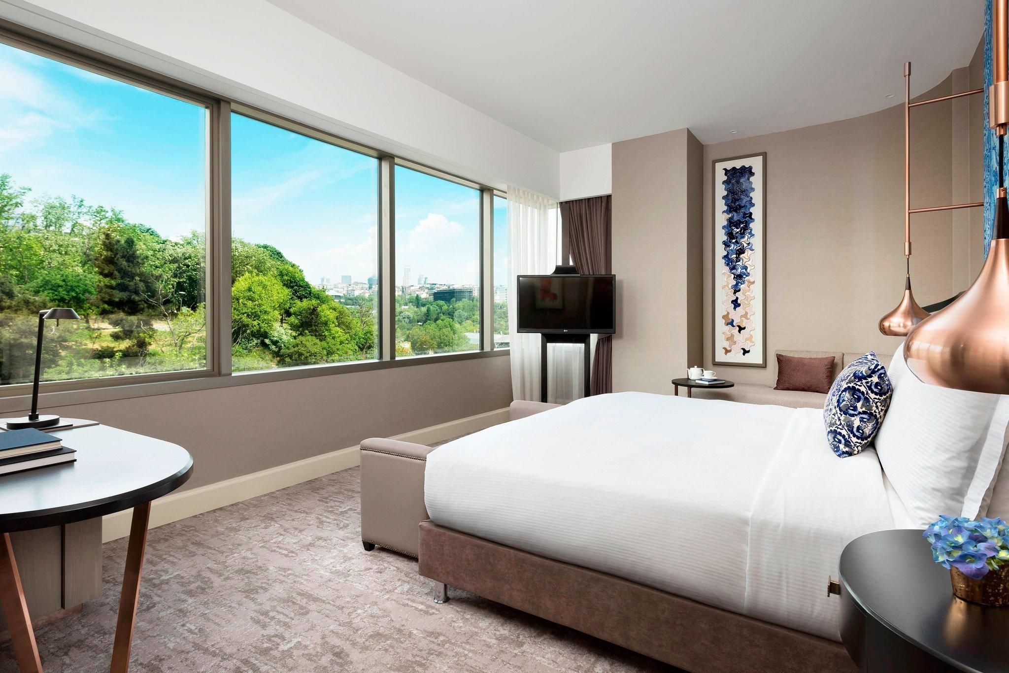 Club King Park View, Club lounge access, Guest room, 1 King, Park view