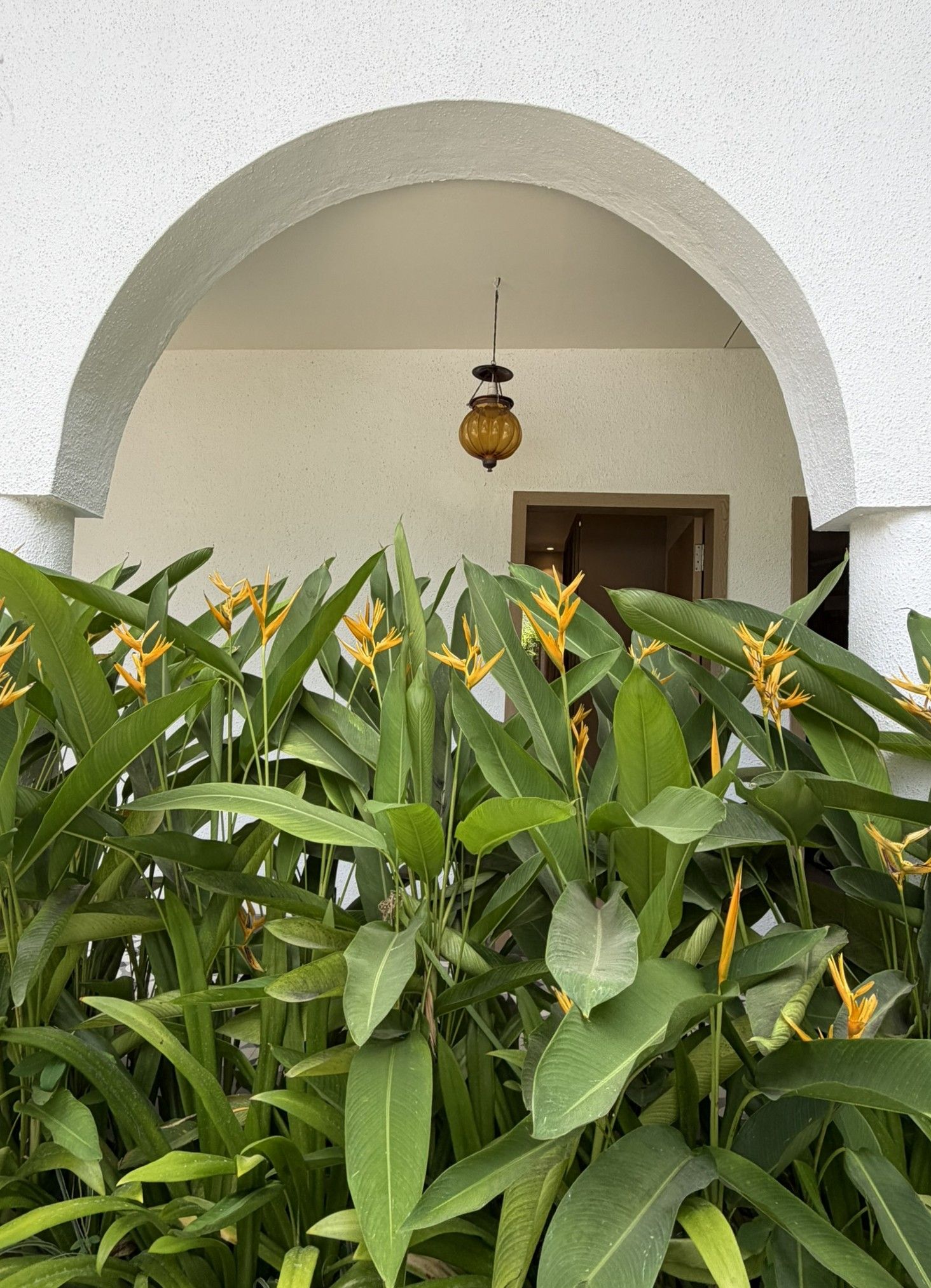 undefined Bouganvillea Boutique Beach House 10