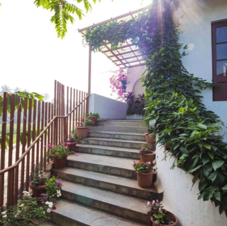 undefined Bouganvillea Boutique Beach House 9