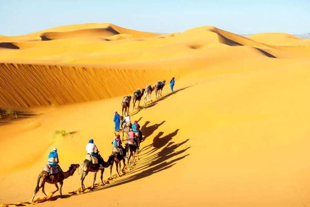 Dangri Desert Safari Camps & Resort