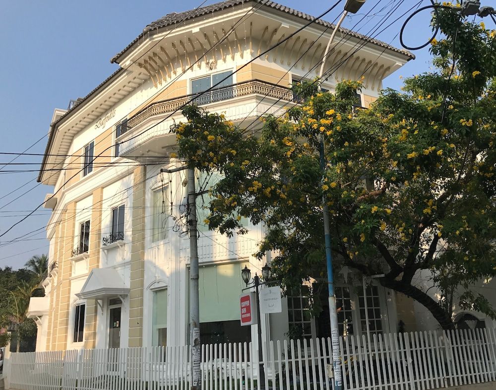 Daffodils Spice Court