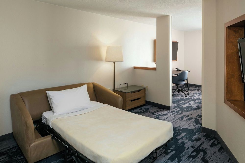 Executive Suite, 1 King Bed with Sofa bed