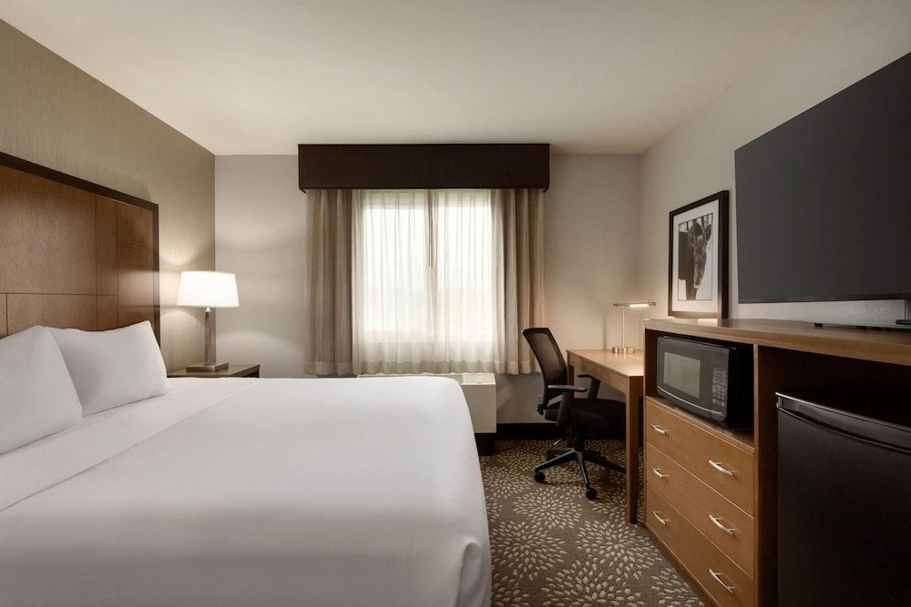 Room, 1 King Bed, Non Smoking