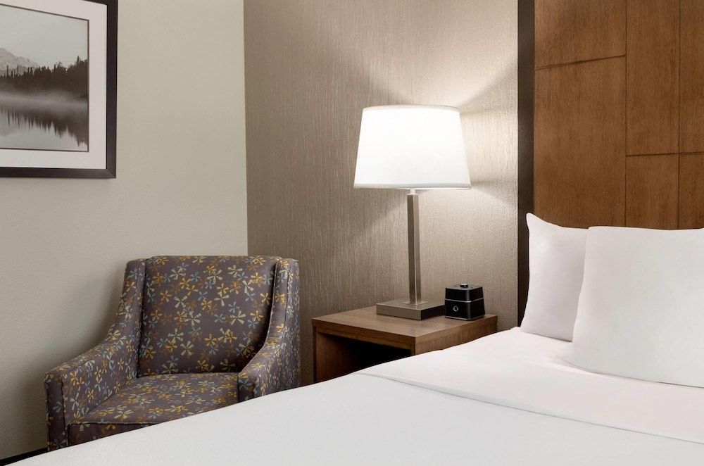 Room, 1 King Bed, Non Smoking