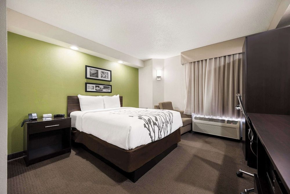 Room, 1 Queen Bed, Non Smoking