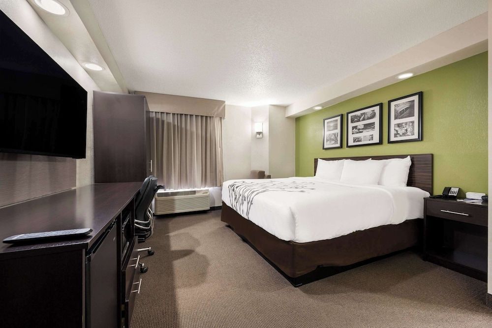 Standard Room, 1 King Bed, Non Smoking
