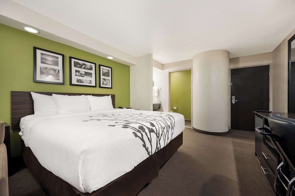 Standard Room, 1 King Bed, Non Smoking