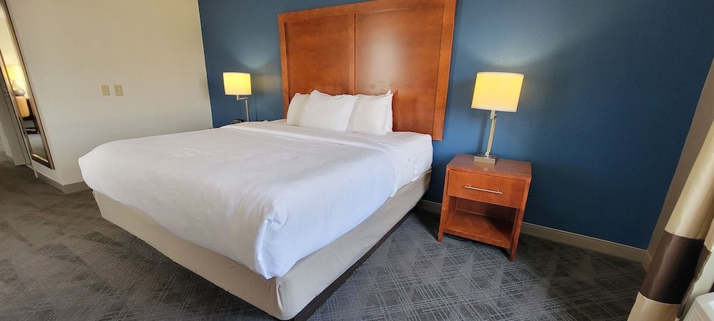 Business Suite, 1 King Bed with Sofa bed, Non Smoking