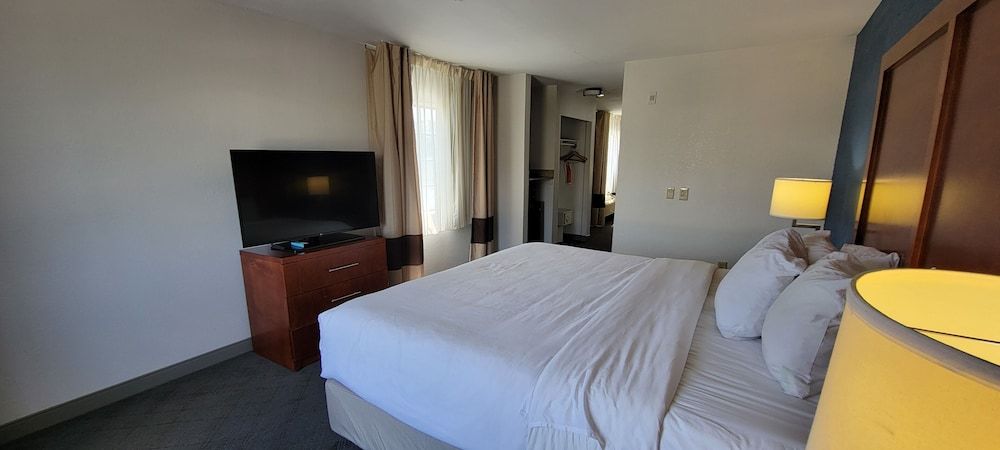 Business Suite, 1 King Bed with Sofa bed, Non Smoking