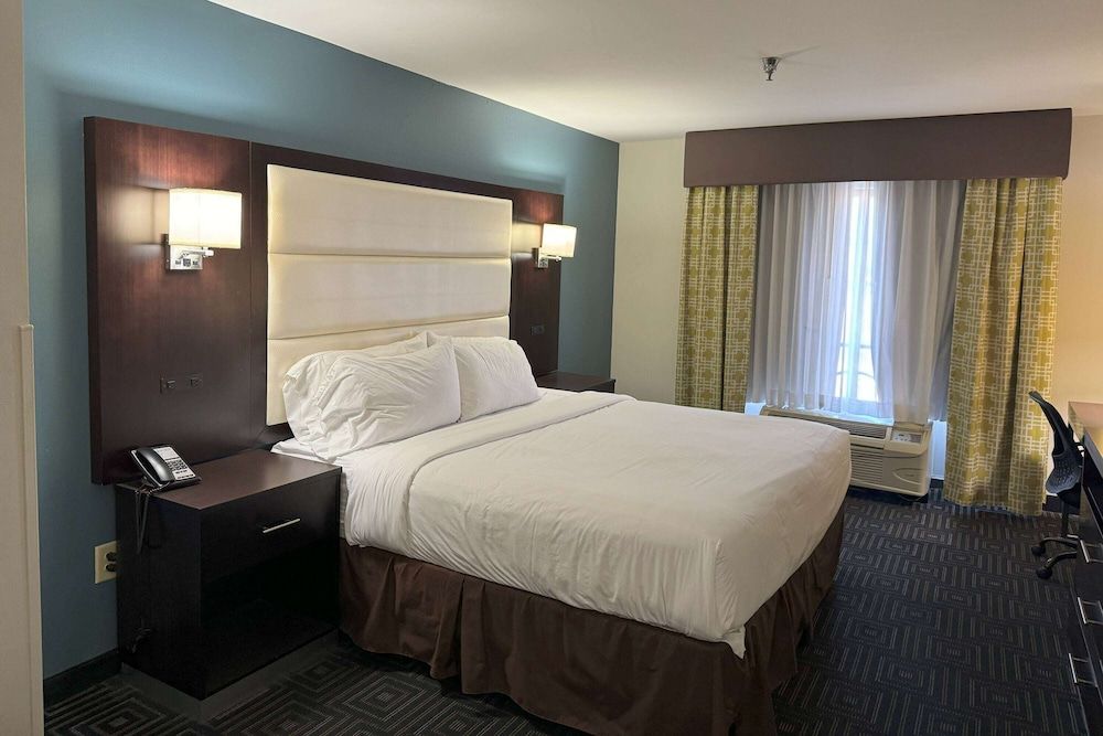 Room, 1 King Bed, Non Smoking