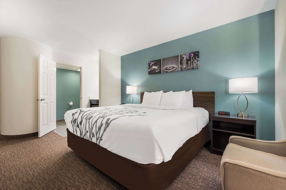 Room, 1 King Bed, Accessible, Non Smoking