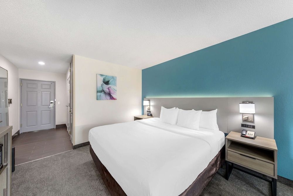 Room, 1 King Bed, Accessible, Non Smoking (Roll-In Shower)