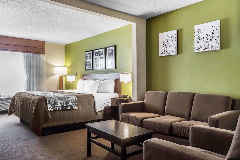 Suite, 1 King Bed with Sofa bed, Accessible, Non Smoking