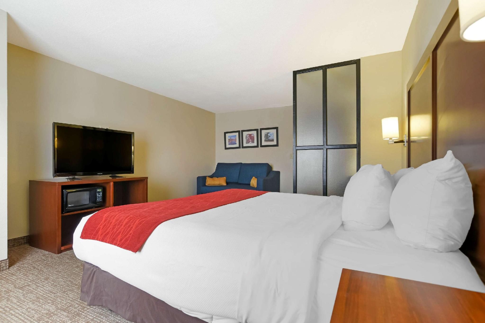 1 King Bed, Suite, Nonsmoking, Accessible