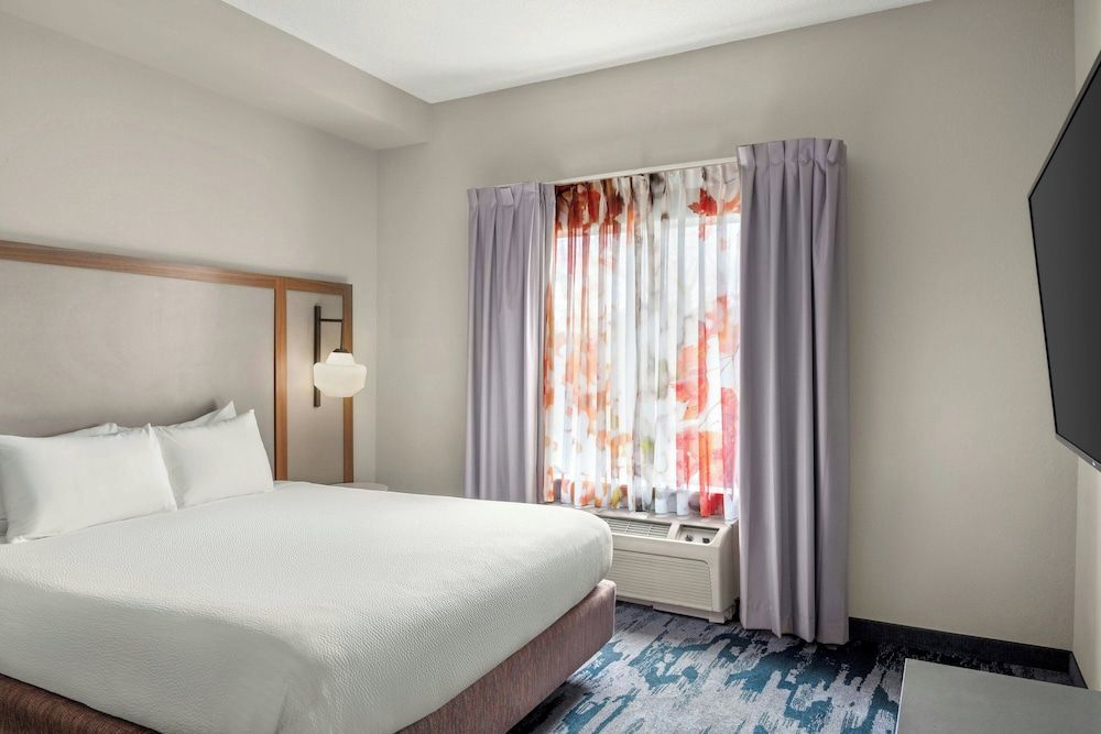 Room, 1 King Bed with Sofa bed, Non Smoking (Mobility/Hearing Access, Transf Shwr)