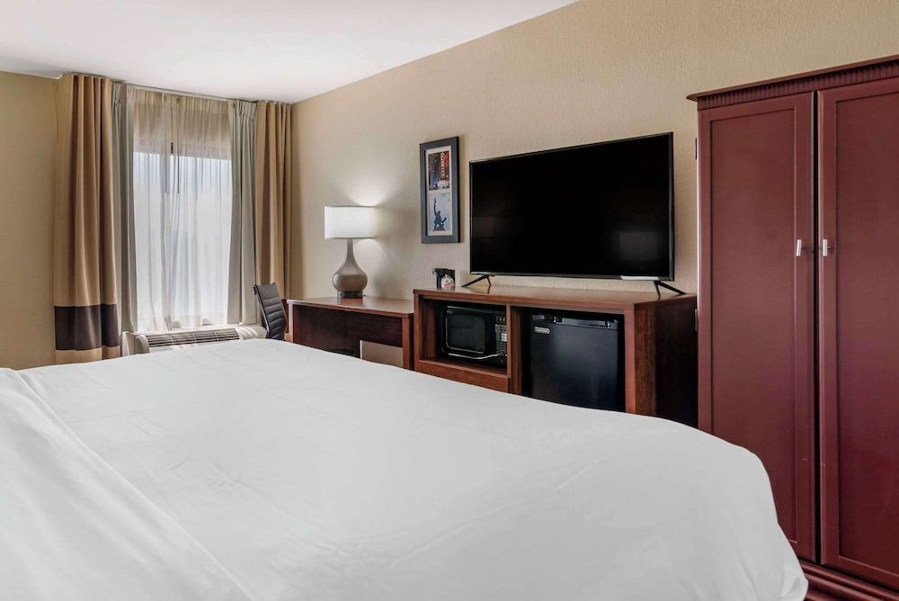 Room, 1 King Bed, Accessible, Non Smoking