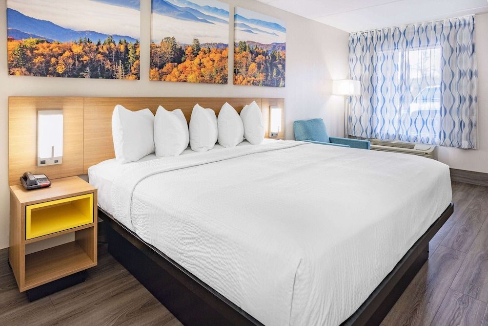 Room, 1 King Bed, Accessible