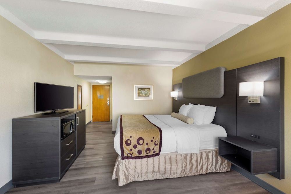 Suite, 1 King Bed, Non Smoking, Kitchenette (with Sofabed)