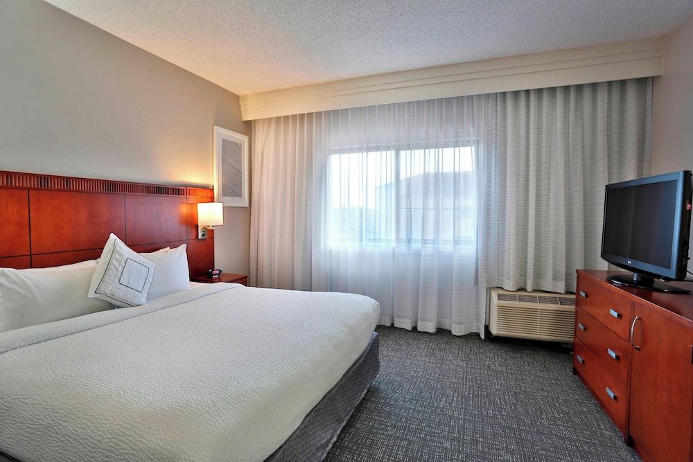 Room, 1 King Bed with Sofa bed (Mobility/Hearing Access, Roll-In Shwr)