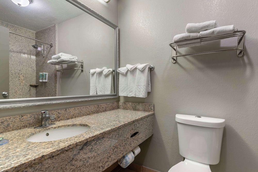 Best Western Auburn/Opelika Inn Standard Room, 1 King Bed, Non Smoking, Refrigerator & Microwave 3