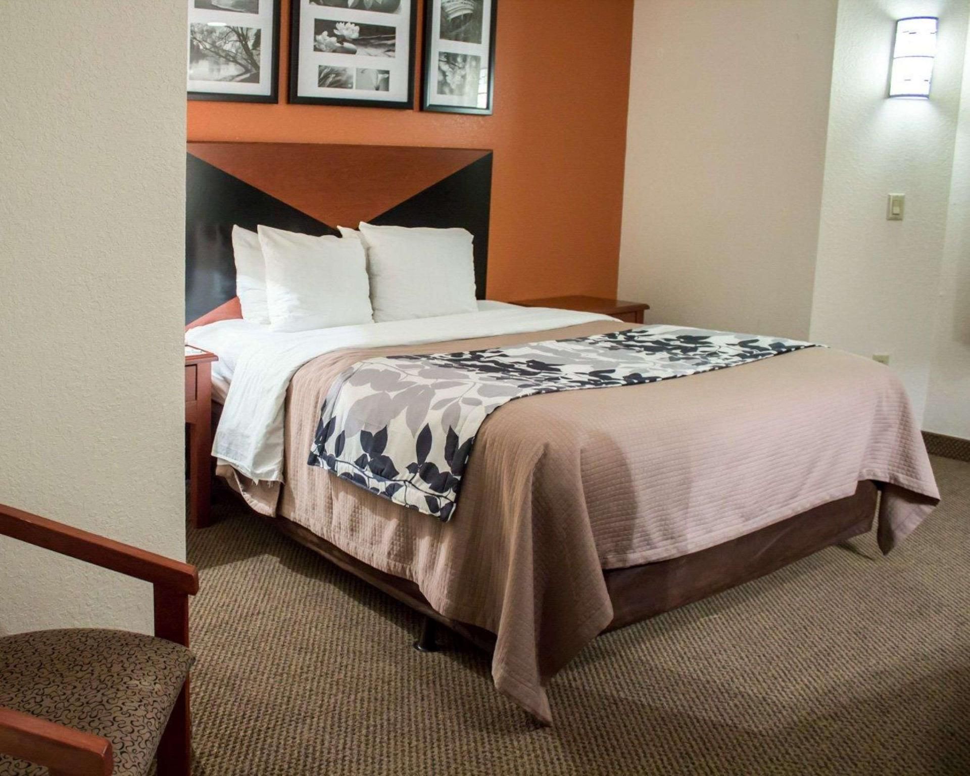 1 Queen Bed, Nonsmoking, Accessible