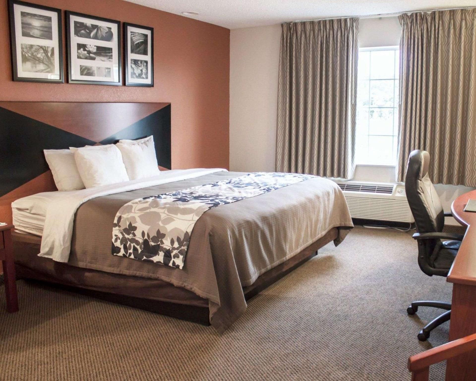 1 King Bed, Nonsmoking