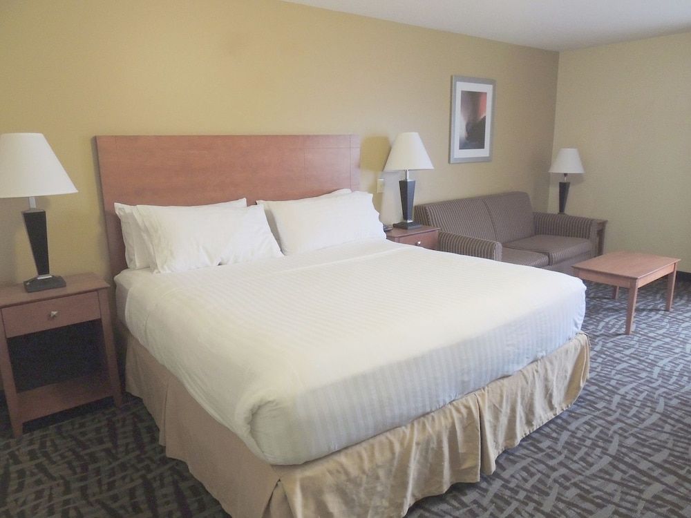 Standard Room, 1 King Bed, Accessible (Mobility Roll-In Shower)