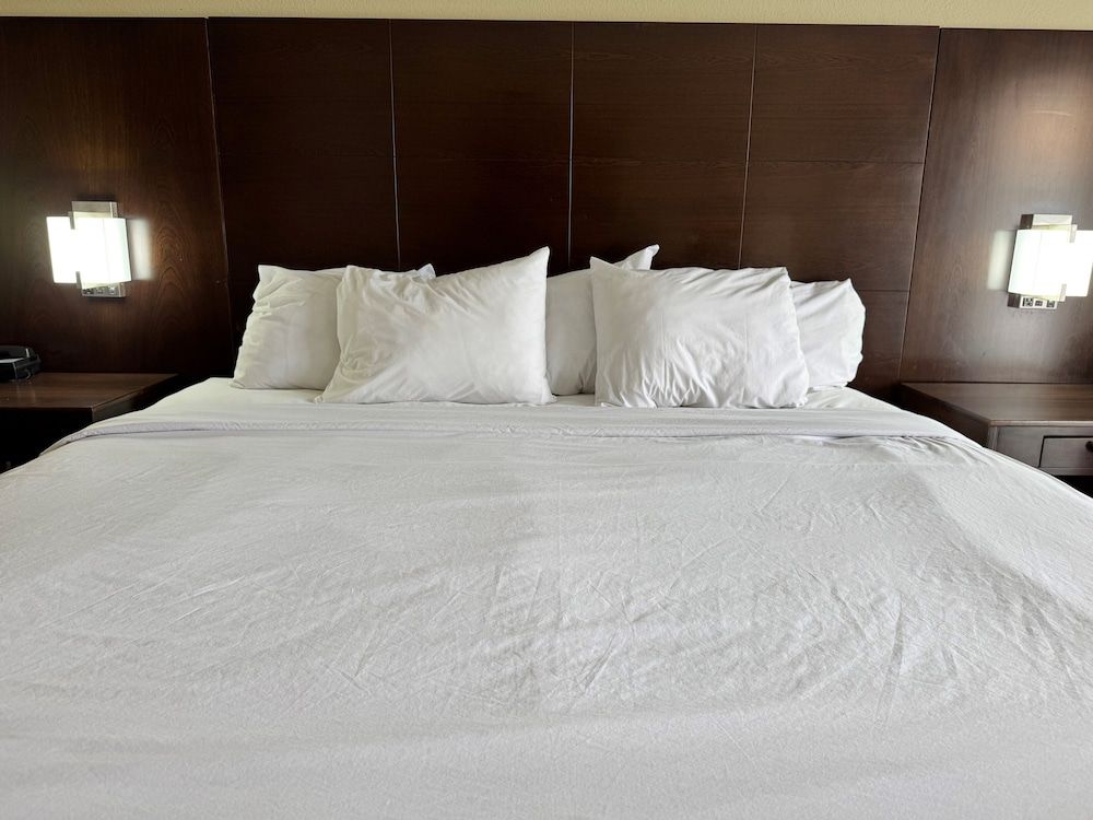 Room, 1 King Bed with Sofa bed, Non Smoking