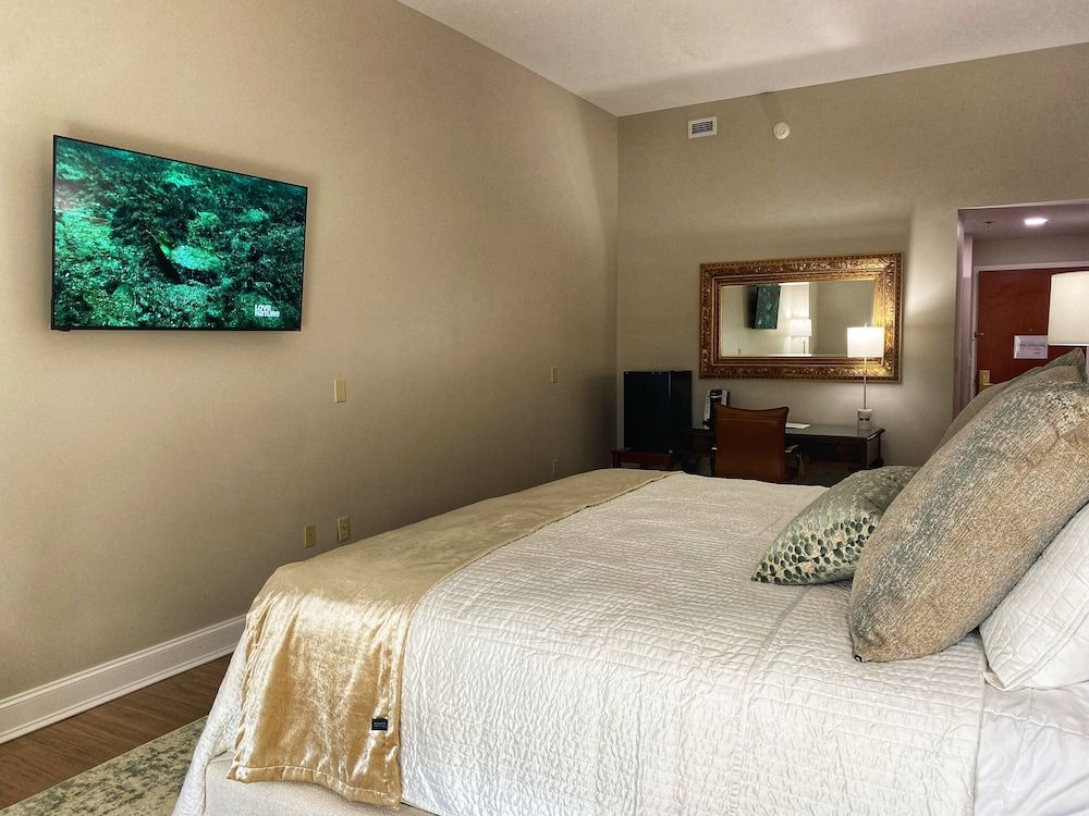 The ColdWater Inn Elite Studio Suite, 1 King Bed