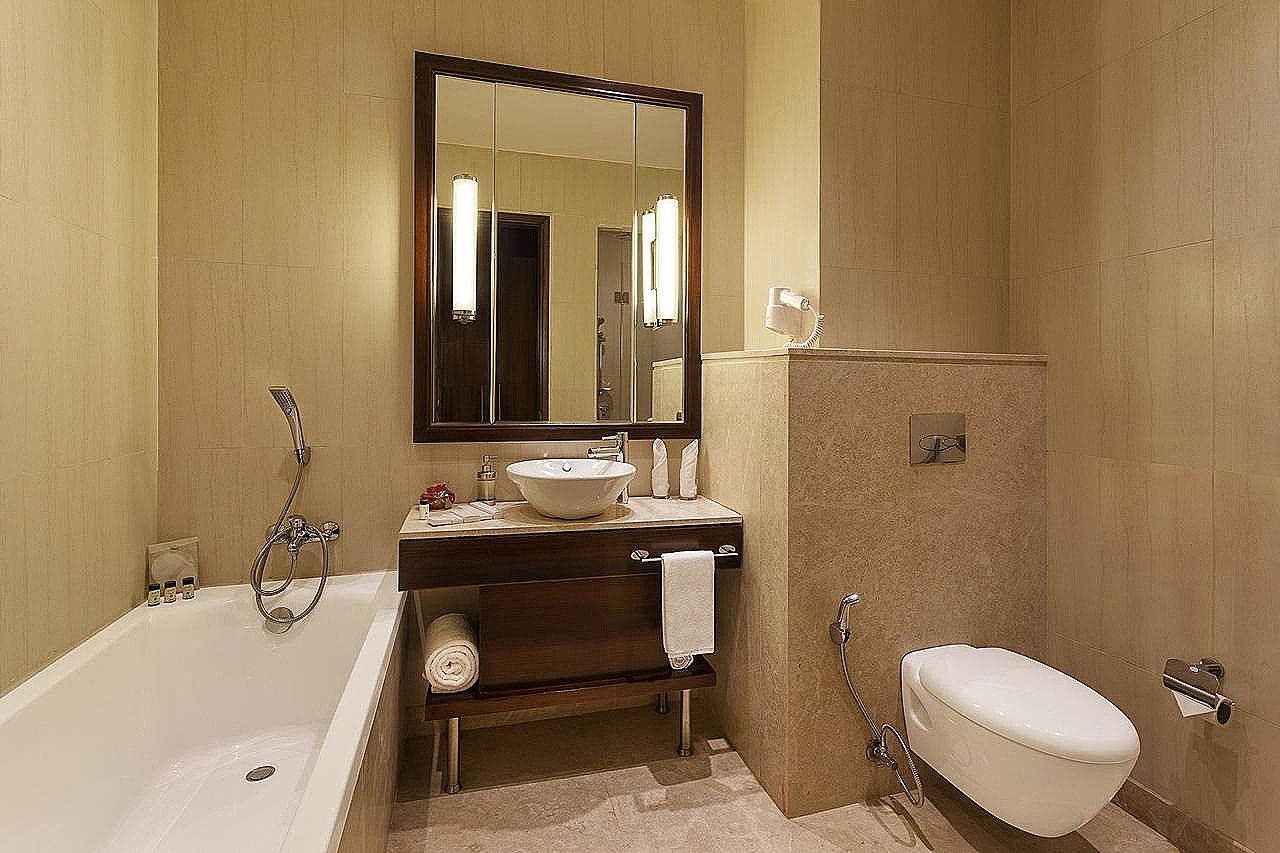 undefined Seyfert Sarovar Premiere Dehradun 9