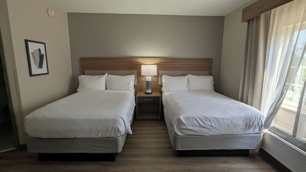 Studio Suite, 2 Double Beds
