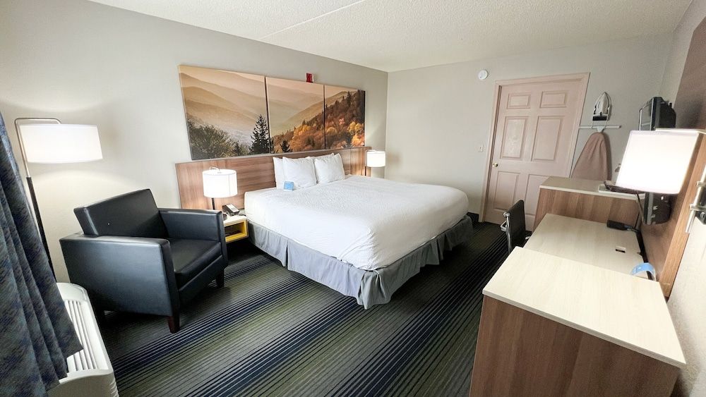 Business Room, 1 King Bed, Smoking