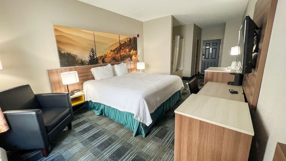 Apartment, 1 King Bed, Non Smoking (Suite)