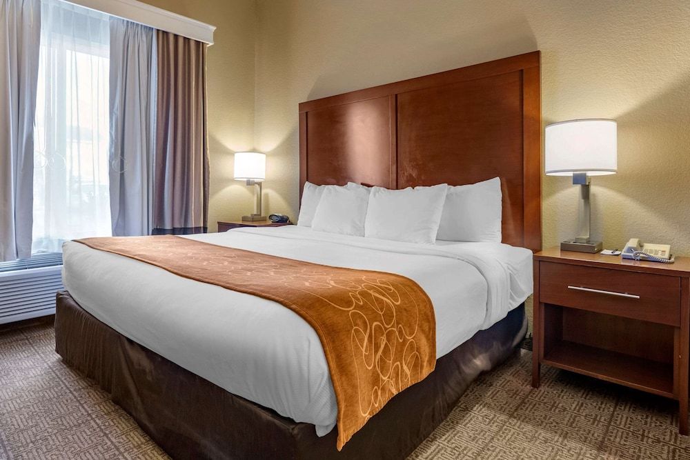 Suite, 1 King Bed with Sofa bed, Accessible, Non Smoking