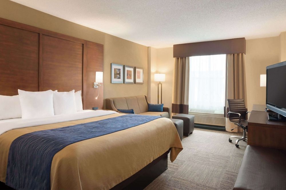 Standard Room, 1 King Bed with Sofa bed, Non Smoking