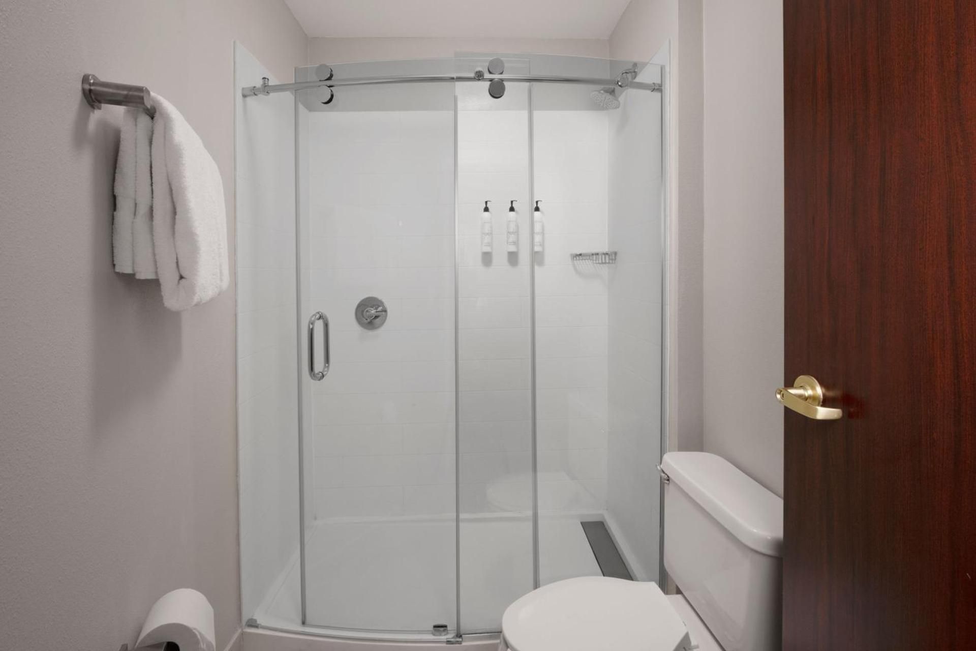 King Suite with Sofa Bed and Bathtub - Mobility Access/Hearing Accessible