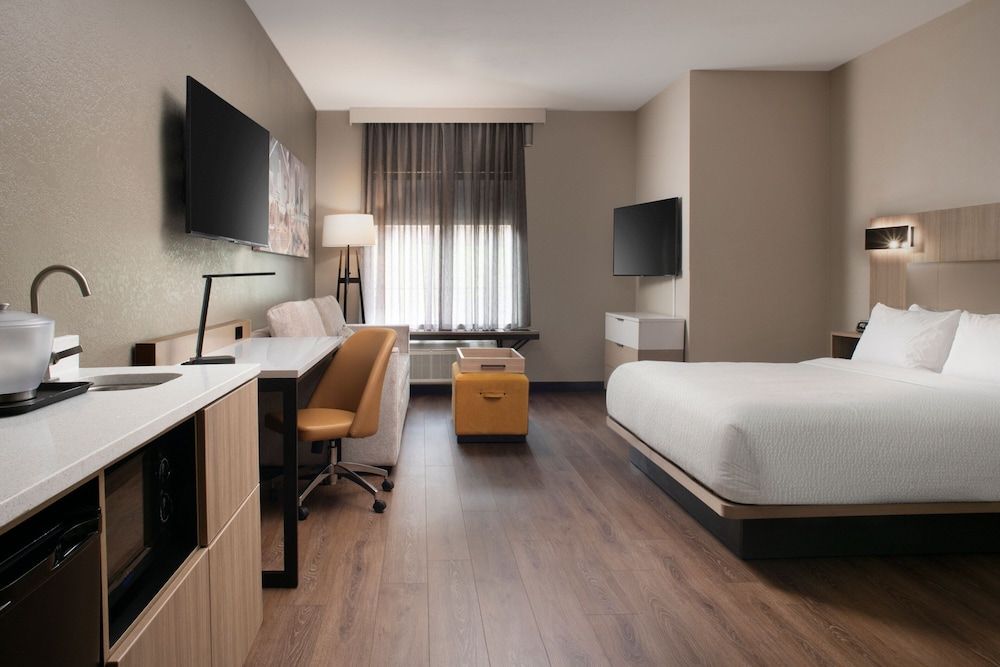 Suite, 1 King Bed with Sofa bed