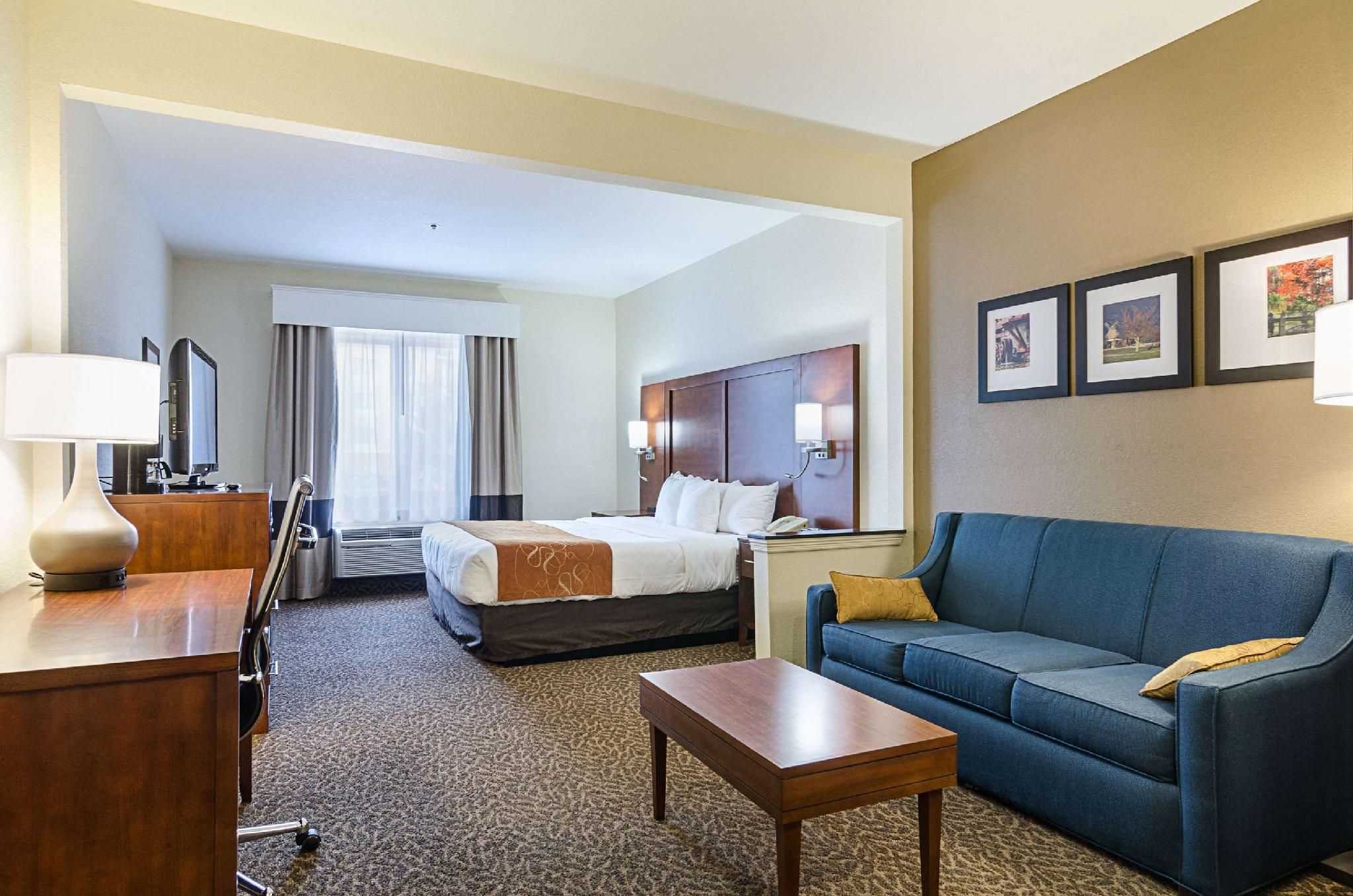 1 King Bed, Suite, Nonsmoking