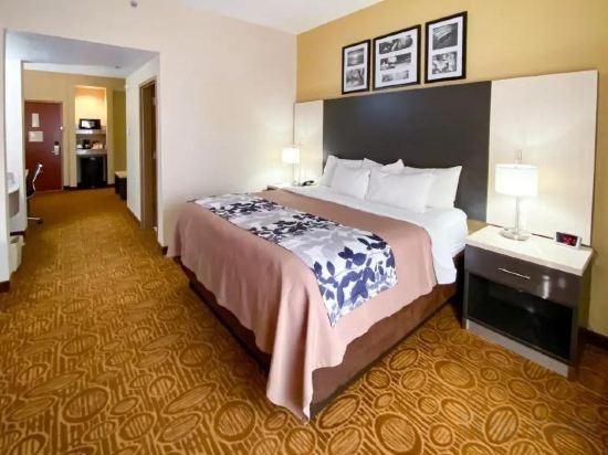 1 King Bed, Nonsmoking