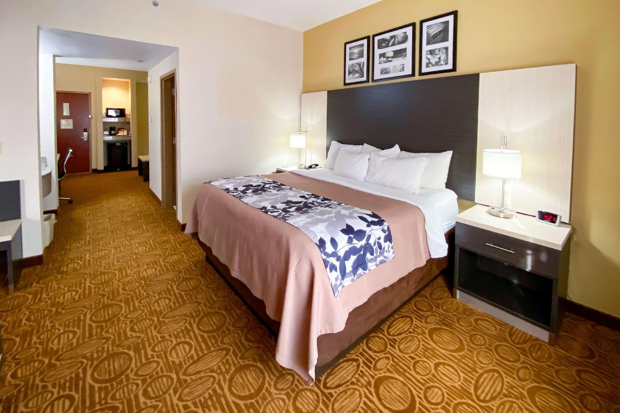 1 King Bed, Suite, No Smoking