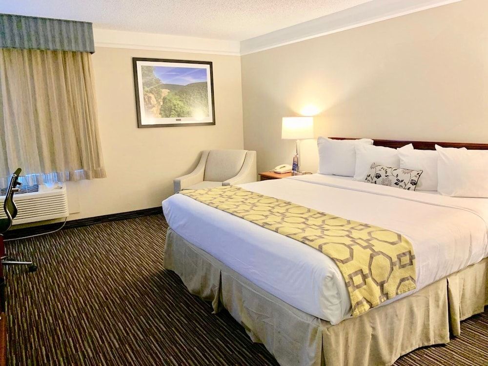 Room, 1 King Bed, Non Smoking