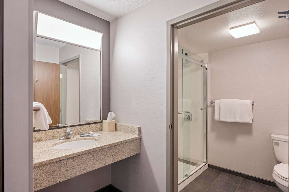 Sonesta Select Phoenix Chandler Deluxe Room, 1 King Bed with Sofa bed 5