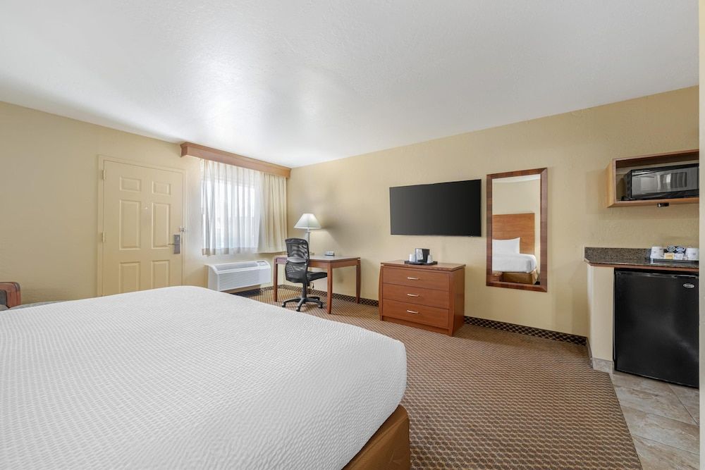 Suite, 1 King Bed, Accessible, Refrigerator & Microwave, No Pets (Adults Only)