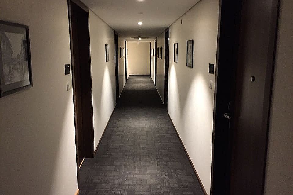 undefined Hotel German Palace, Airport 4