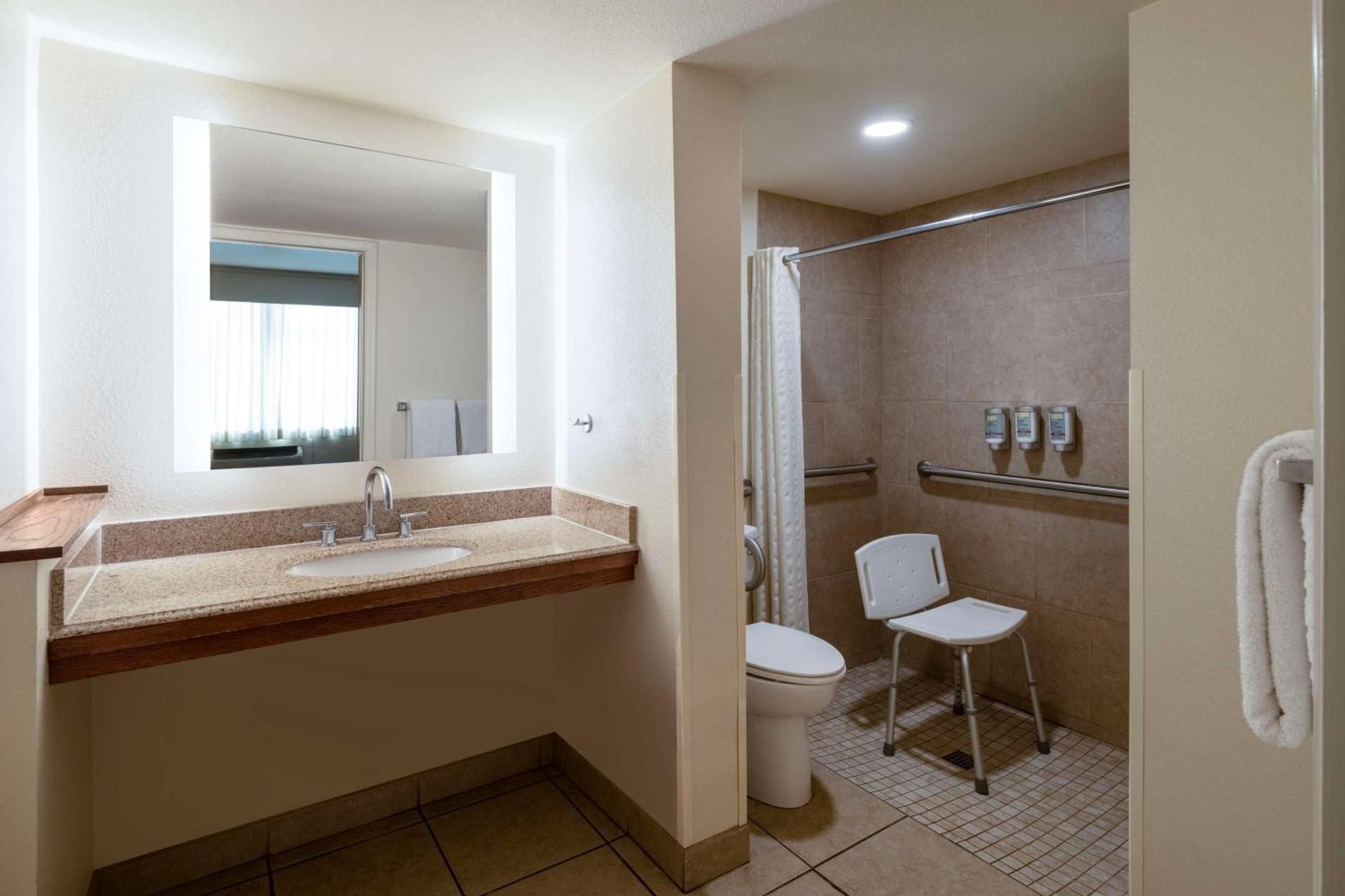 Accessibility - Suite - 1 King Bed, Roll-in Shower, Sofabed, Nonsmoking