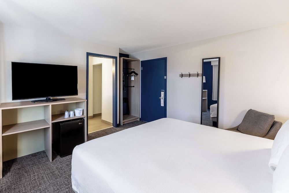 Room, 1 King Bed