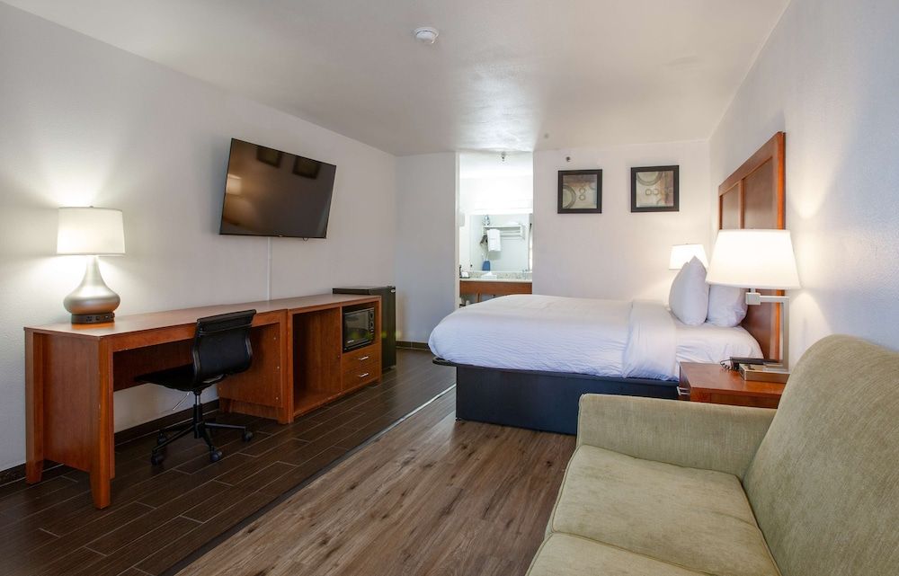 Standard Room, 1 King Bed, Non Smoking (with Sofabed)