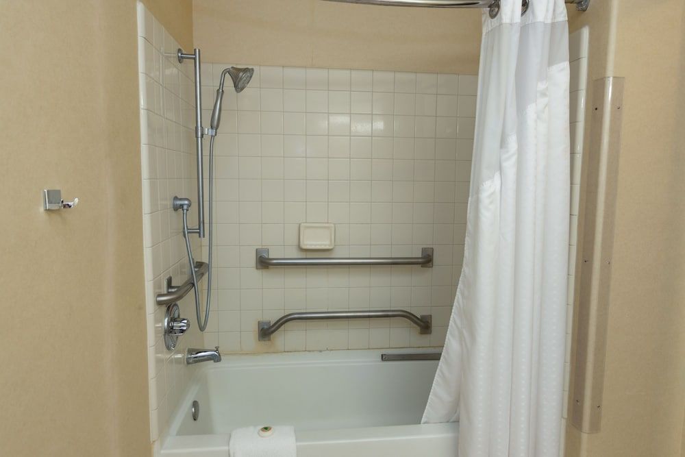 Vagabond Inn Executive - Green Valley Room, 1 King Bed, Accessible 2