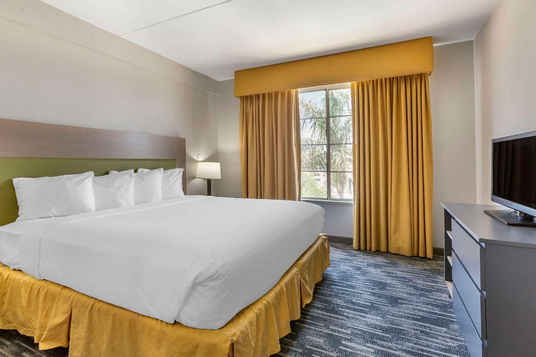 1 King Bed, Suite, Nonsmoking, Accessible